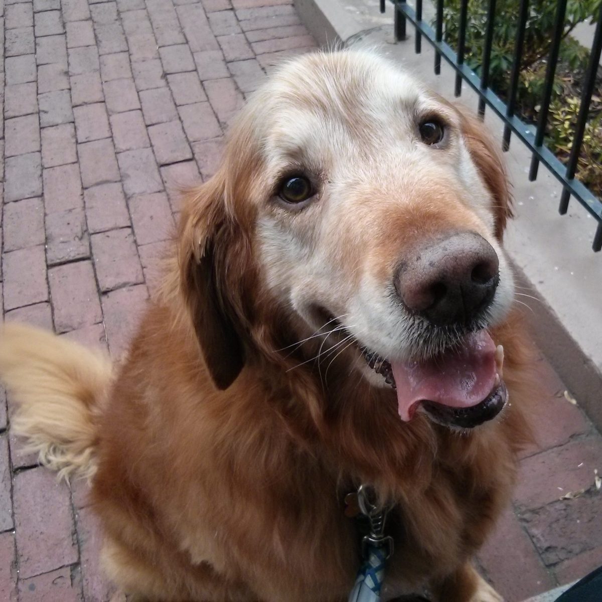 Donating a Year’s Salary to Our Donor-Advised&nbsp;Fund