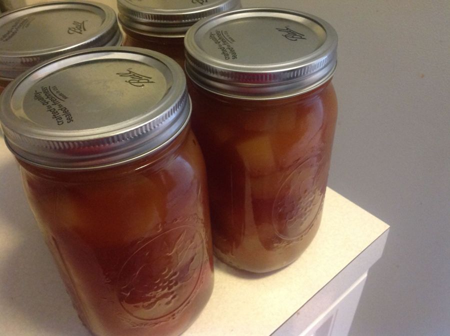 watermelonrindpickles