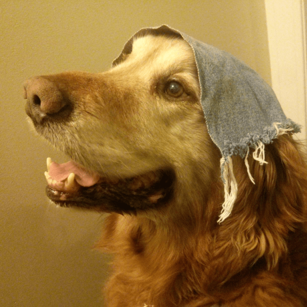 FluffsterDenimPeasant